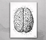 Brain Anatomy Watercolor Print Medical Art Science Art Anatomy Art Neurology Human Brain Doctor Gift Nurse Science Poster Psychological -971