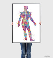 Male Nervous System Watercolor Print Circulatory System Human Veins Brain Anatomy Art Neurology Clinic Office Wall Art Medical Art-1841