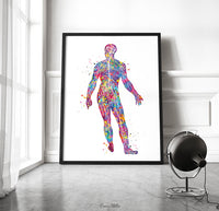 Male Nervous System Watercolor Print Circulatory System Human Veins Brain Anatomy Art Neurology Clinic Office Wall Art Medical Art-1841