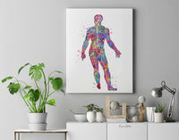 Male Nervous System Watercolor Print Circulatory System Human Veins Brain Anatomy Art Neurology Clinic Office Wall Art Medical Art-1841