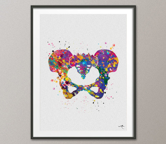 Female Pelvis Watercolor Print Human Pelvis Sacrum Bone Hip Anatomy Orthopedic Skeletal System Graduaiton Medical Art Clinic Doctor Gift-276 - CocoMilla