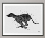 Greyhound Watercolor Print, Greyhound Painting, Greyhound Running, Greyhound Print, Greyhound Gift, Greyhound Poster, Dog Art, Dog Print-905 - CocoMilla