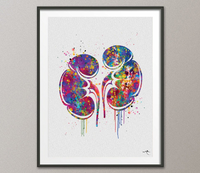 Kidneys Anatomy Watercolor Print Human Organs Gastrointestinal Nephrology Clinic Decor Art Graduaiton Gift Medical Art Doctor Art Gift-1151 - CocoMilla
