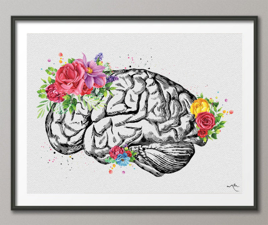 Brain Anatomy with Flowers Watercolor Print Floral Medical Art Science Neurology Doctor Gift Nurse Psychology Clinic Office Wall Decor-1351 - CocoMilla