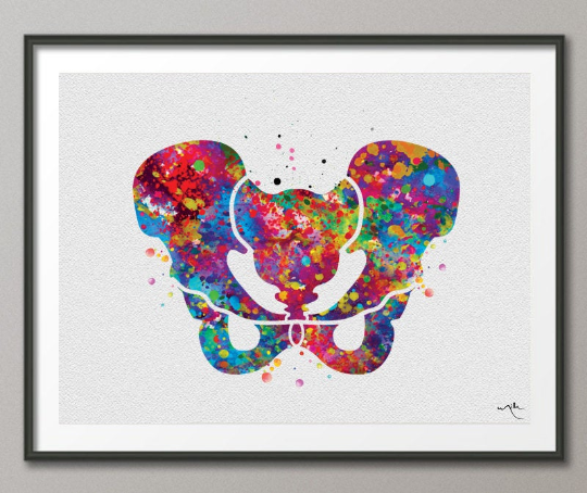 Pelvis Watercolor Print Human Pelvis Bone Hip Anatomy Orthopedic Skeletal System Graduaiton Gift Medical Art Poster Clinic Doctor Gift-1095 - CocoMilla