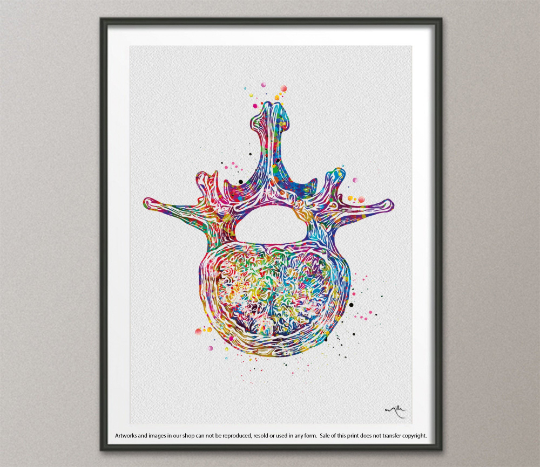 Lumbar Vertebra Superior View Watercolor Print Anatomy Medical Art Vertebral Bones Vertebral Column Spinal Cord L4 L5 Orthopedic Art-1481 - CocoMilla