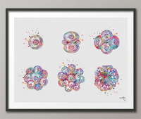 Embryonic Development Watercolor Print Gynecology Medical Art IVF Fertilization Baby OBGYN Infertility Fertility Clinic Office Decor-701 - CocoMilla