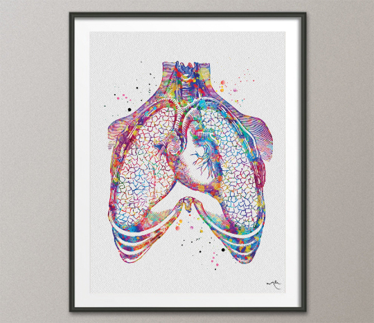 Lungs and Heart Anatomy Watercolor Print Cardiology Decor Medical Art Print Wall Decor Doctor Print Anatomical Office Clinic Wall Art-1341 - CocoMilla