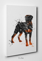 Rottweiler Dog Black Watercolor Print Rottweiler Poster Gift Doglover Puppy Friend Security Dog Bodyguard Animal Dog Poster Dog Art-1507 - CocoMilla