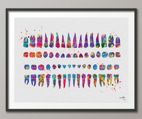 Orthodontic Chart Watercolor Print Tooth Chart Anatomical Dental Art Clinic Decor Art Dentistry Student Teeth Dentist Doctor Office Art-1277 - CocoMilla