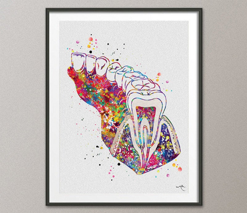 Molar Tooth Section Diagram Watercolor Print Human Teeth Anatomy Dental Office Clinic Decor Art Dentistry Dentist Gift Dental Hygienist-1237 - CocoMilla