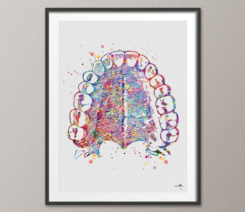 Tooth Anatomy and Palate Watercolor Print Medical Art Tooth Anatomical Dental Clinic Cabinet Art Dentistry Dentist Gift Doctor Art-219 - CocoMilla