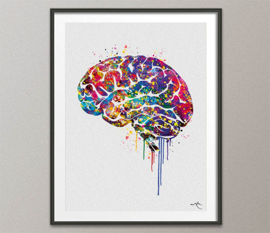 Brain Anatomy Watercolor Print Medical Art Science Art Wall Decor Wall Art Neurology Human Brain Doctor Gift Science Poster Wall Hanging-428 - CocoMilla